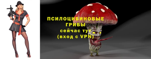 гидра Волоколамск