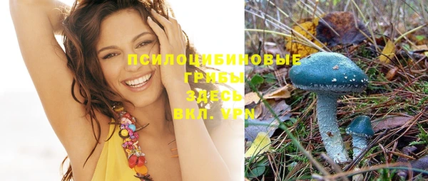 амф Вязники