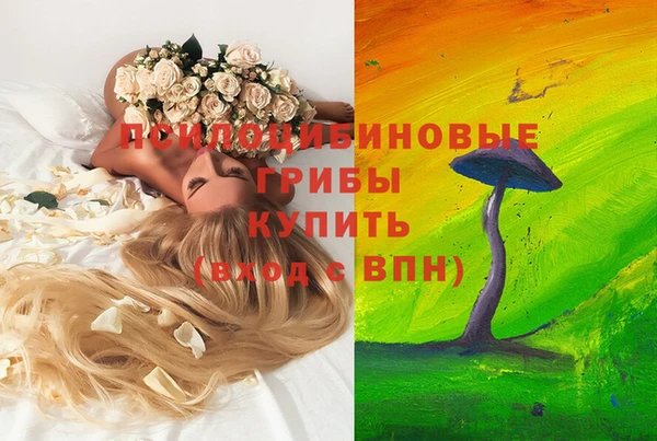 амф Вязники