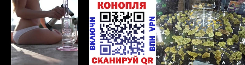 Шишки марихуана сатива  цена наркотик  omg ТОР  Инза 